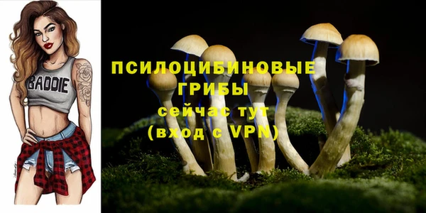 прущая мука Кукмор