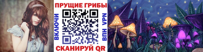omg маркетплейс  где купить наркоту  Добрянка  Галлюциногенные грибы Psilocybine cubensis 